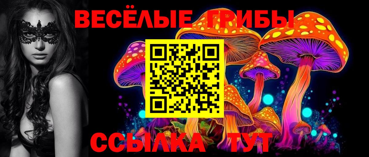 Верхний Уфалей  Галлюциногенные грибы прущие грибы  Вход с VPN 